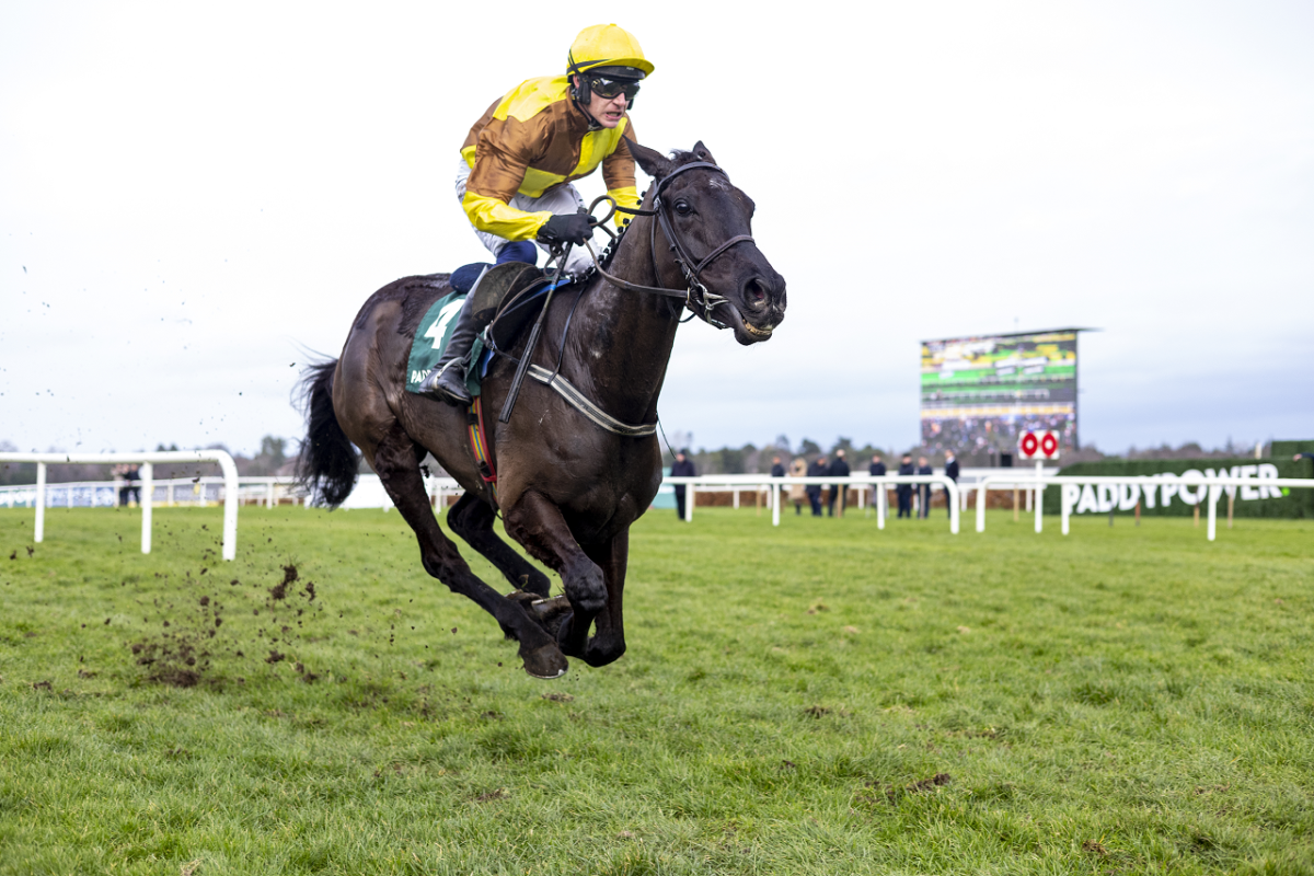 Cheltenham Festival